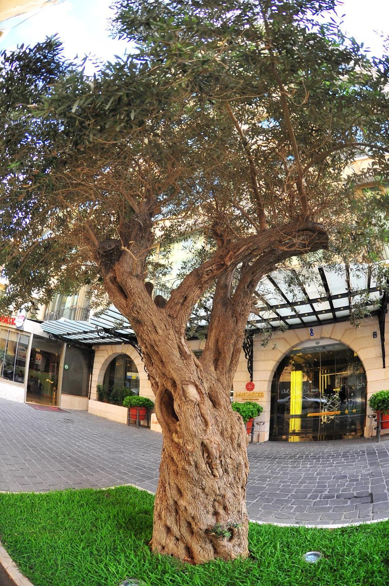 Hotel Lancaster Raouche 4*